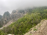 IMG_8524.JPEG