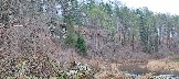 IMG_20231105_112330.jpg