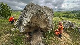 IMG_1222.jpg