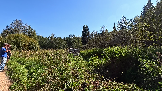 Трофи-лайф фото 4х4 покатушка Волоколамский Кремль 07.09.2024 - (11).png