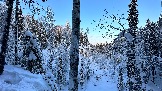 3559C02A-9E03-43C5-A8D4-055C2A449FA2.jpeg