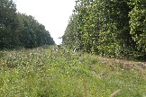 LKV_1646.JPG