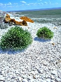 Трофи-лайф Экспедиция Казахстан Май 2024 (134).jpg