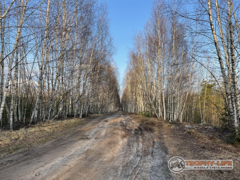 Фото Трофи-лайф 4х4 покатушка Кудыкина Гора 23.04.22 - 151.JPG