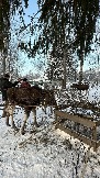 IMG_3431.JPG