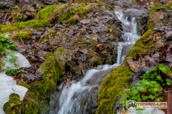 _MG_8385.jpg