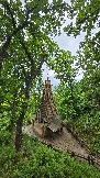 20260530_130154.jpg