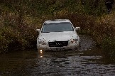 IMG_8796.jpeg