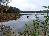 2023-10-09 11-01-05.JPG