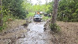 20260510_113126.jpg