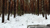Трофи-лайф фото 4х4 покатушка Шатура-Петушки  14.02.2026 -  (5).jpg