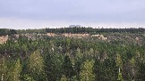 20250503_174834.jpg
