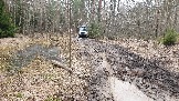 20250315_124529.jpg