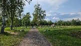1000062294.jpg