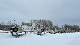 IMG_1195.jpg