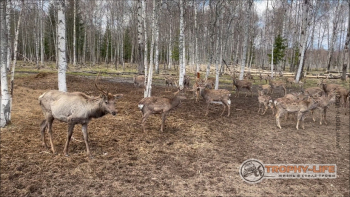 Фото Трофи-лайф 4х4 покатушкаэкспедиция Тверской Край 1-2.05.22 - 132.jpg