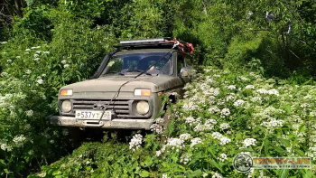 Фото Трофи-лайф Верейские тропинки 27.06.2020 - 15.jpg
