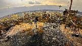 IMG_1293.jpg