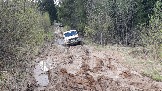 20250426_132956.jpg