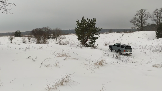 Трофи-лайф фото 4х4 покатушка Каширский зигзаг 20.01.2024  (13).png