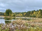 IMG_5686.JPG
