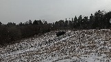Трофи-лайф фото 4х4 покатушка Школа 4х4 16.02.2025 -  (201).jpg