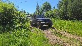 20260606_115610.jpg