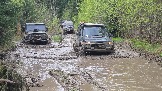 20260510_120632.jpg