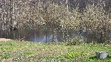 20260502_140441.jpg