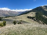 IMG_8685.JPEG