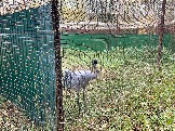 IMG_5660.JPG
