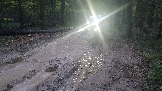20231011_173811.jpg