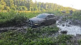 20260801_180703.jpg