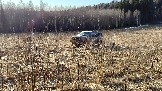 Трофи-лайф фото 4х4 покатушка Дмитровская Игрушка 08.03.2025 - (66).jpg