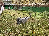 IMG_5663.JPG
