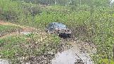 20260510_141153.jpg