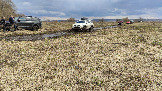 Трофи-лайф фото 4х4 покатушка Ступинский Крюк 18.04.2026 - 24.jpg