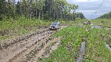 20260510_161406.jpg