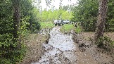 20260510_113050.jpg