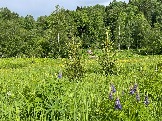 IMG_8762.JPG