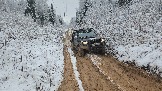 20251115_123142.jpg