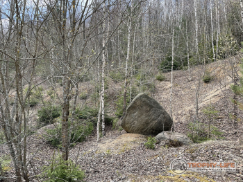 Фото Трофи-лайф 4х4 покатушкаэкспедиция Тверской Край 1-2.05.22 - 173.JPG