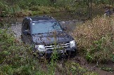 IMG_8896.jpeg