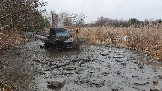 20250315_111910(0).jpg