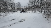 20231125_115014.jpg