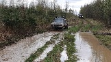 20250426_121249.jpg