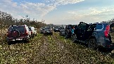 IMG_7556.jpg