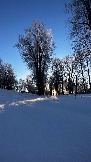 IMG_2893.JPG