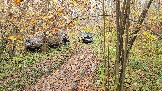20251011_113954.jpg