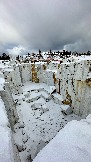 IMG_8700.jpg